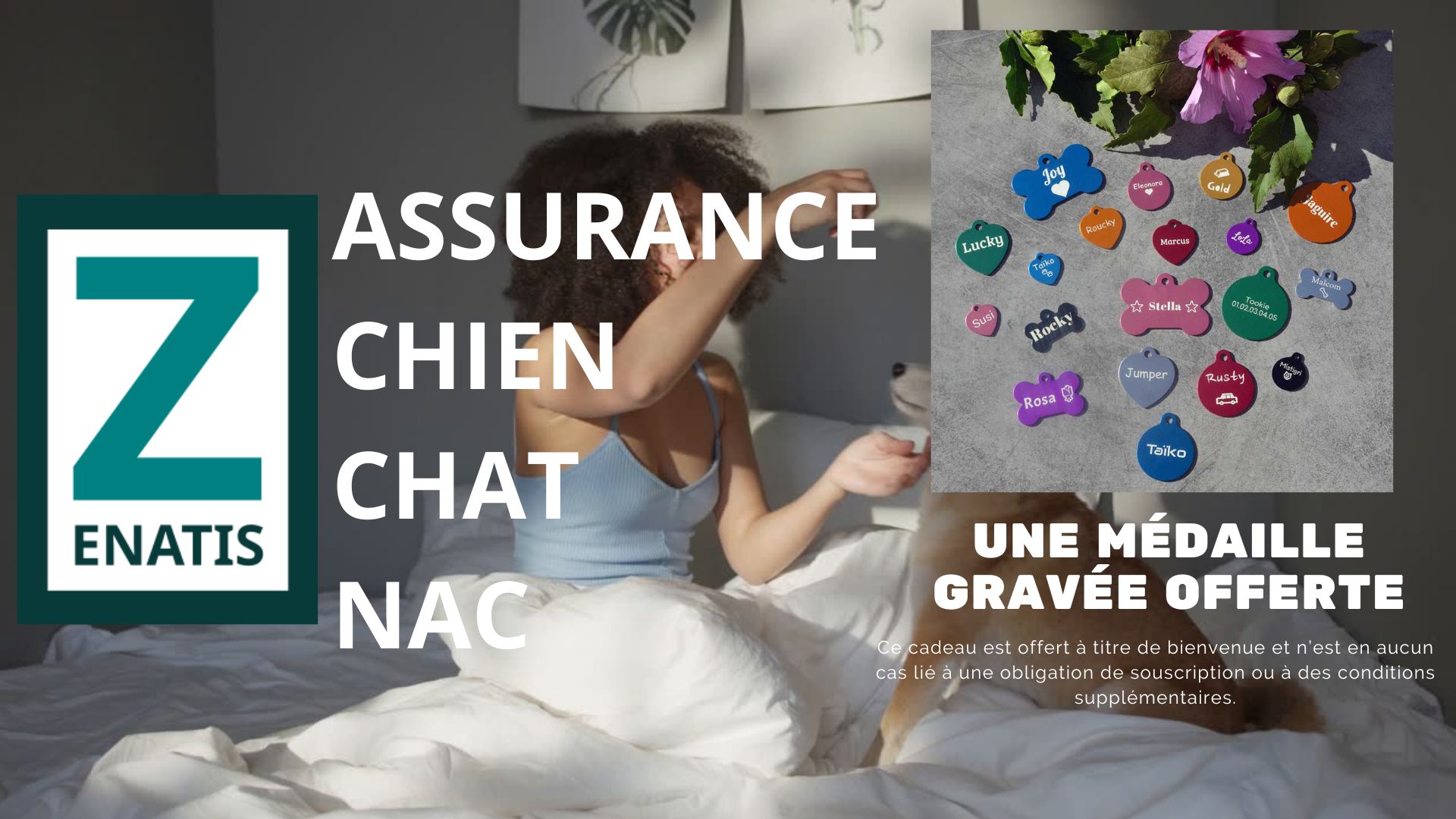 Assurance chien et chat - Zenatis courtage
